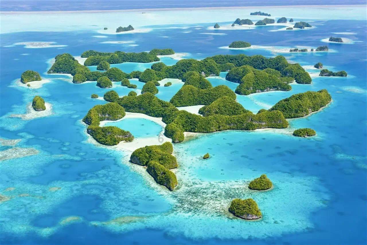 机智问答网页-聪明绝顶解疑答疑一生守寡膝下无子的女首富周莹,去世后巨额财产到哪里去了,充公吗?